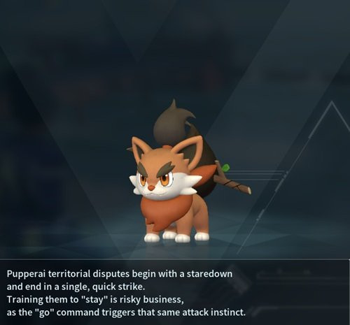 Pupperai